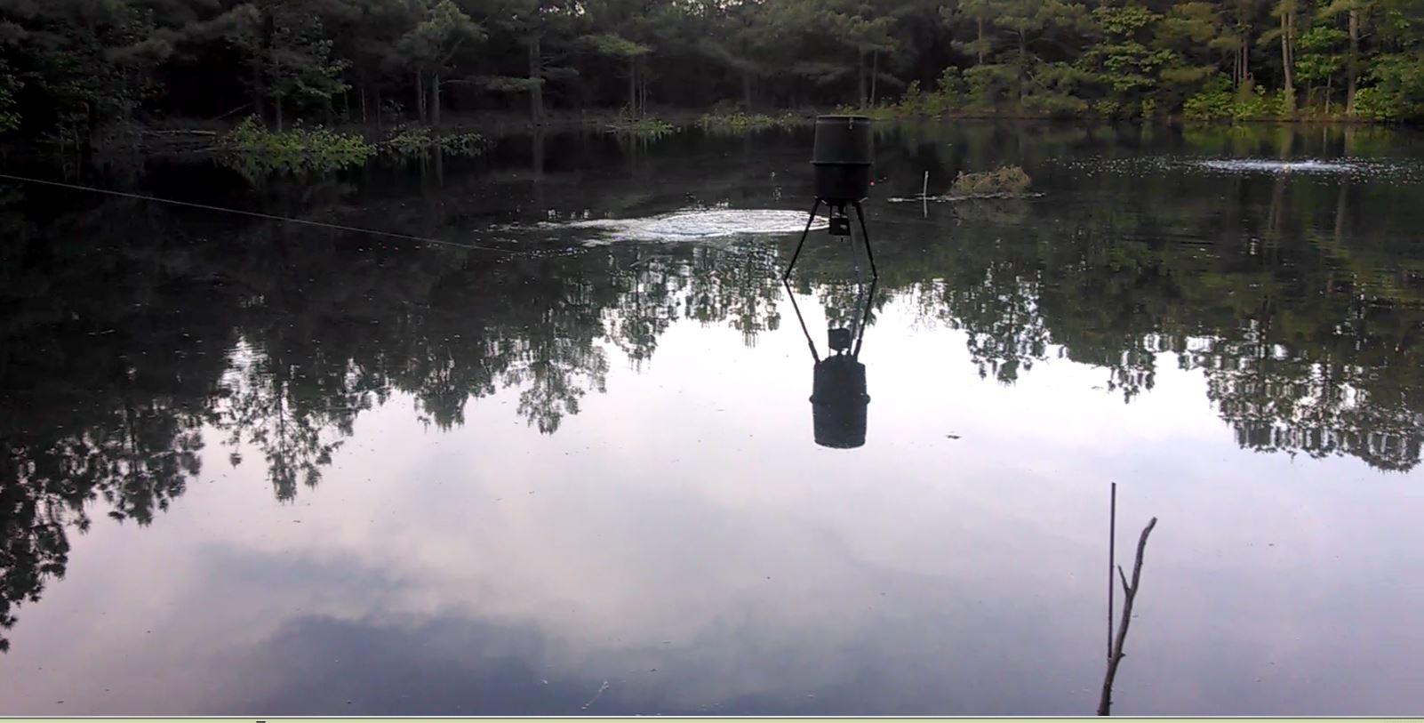 Attached picture Deer Fish Feeder.JPG
